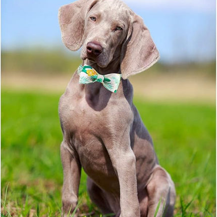 ARING PET Bowtie Dog Collar Adjustable Collars with Bow Tie for Dogs Small Medium Large