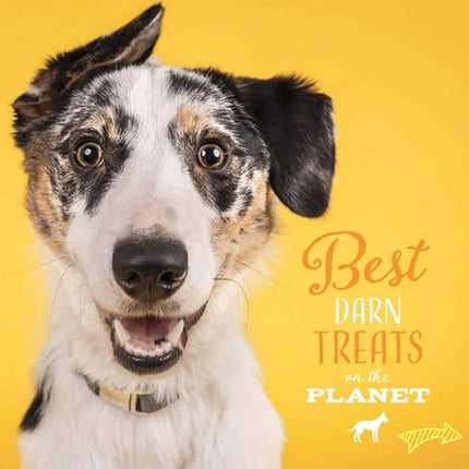 etta says! Yumm Sticks - Real Meat Jerky Dog Jerky Treats - Beef, Chicken, Pork, and Turkey Variety Pack - Human Grade - Made in The USA (12 Count Pack of 1)