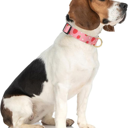 Rnivvi Dog Collar for Medium Dogs, Cute Heavy Duty Adjustable Puppy Collar with Quick Release Buckle for Girl & Female, Pet Accessories for Walking Running, M Length 1" Width, Red Strawberries