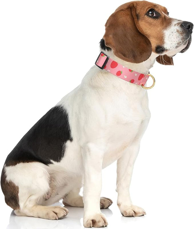 Rnivvi Dog Collar for Medium Dogs, Cute Heavy Duty Adjustable Puppy Collar with Quick Release Buckle for Girl & Female, Pet Accessories for Walking Running, M Length 1" Width, Red Strawberries