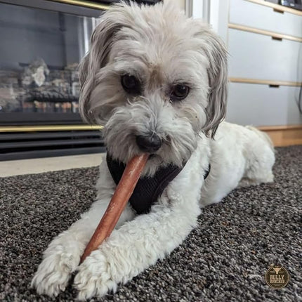 Bully Bunches Premium 6 Inch Thick Odour-Free Bully Sticks for Small & Medium Dogs - Long Lasting Chews for Oral Care - All Natural & Single Ingredient, 100% Beef Dog Treat, Rawhide Alternative (5 Pk)
