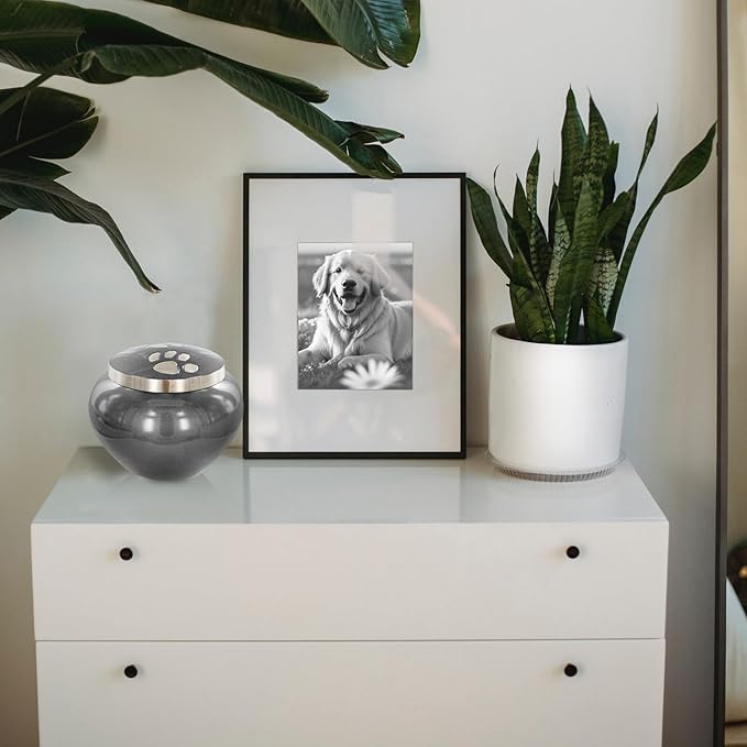 Trupoint Memorials Small Pet Urn for Dogs and Cats Ashes, Paws Print Grey Cremation Urns for Pets up to 25 lbs