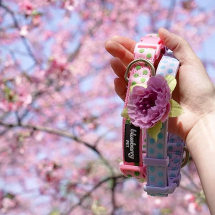 Blueberry Pet Adjustable Flocking Dog Collar with Artificial Silk Flower - Polka Dot in Pastel Purple, Large, Neck 18"-26"