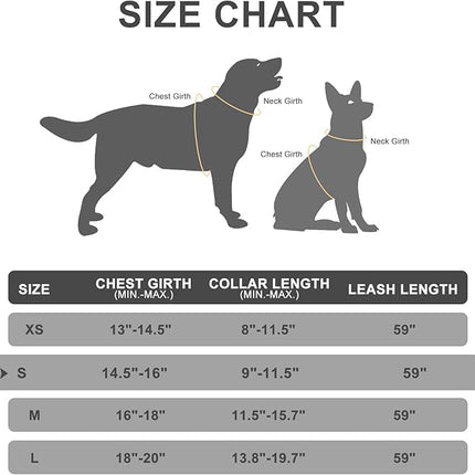 EXPAWLORER Classic Plaid Puppy Harness - Small Dog Collar and Leash with AirTag Holder Case - Soft Mesh Padded Adjustable Dog Vest Harness No Pull, Reflective Escape Proof for Outdoor, Blue S