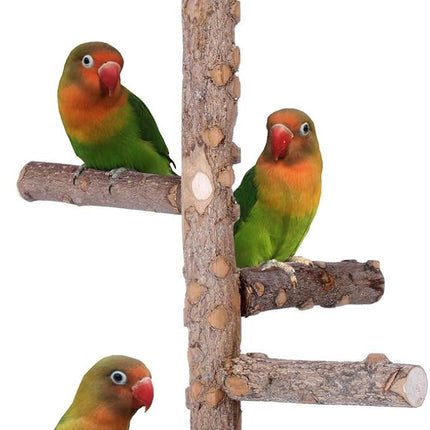 Bird Perch Nature Wood Stand for 3-4pcs Small Medium Parrots (S)