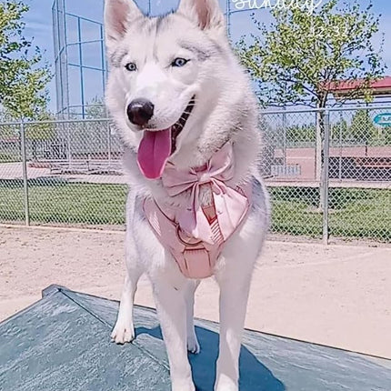 Lionet Paws Bowtie Dog Collar - Comfortable Silk Dog Collar with Detachable Bow Tie for Medium Dogs, Neck 13.5-22 Inches