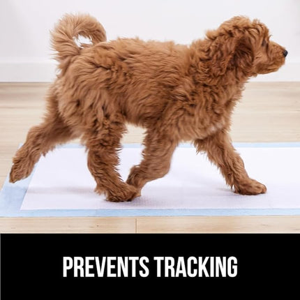 Gorilla Guard Disposable Puppy Pads, 100 Count 22x22 in, 5 Layer Pee Pads for Dogs, Absorbent Diaper Changing Pad, Dog Potty Training Supplies, Quick Dry Pet Housebreaking Essentials for Puppies
