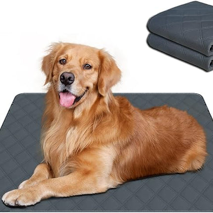 RIOUSSI Washable Pee Pads for Dogs, Reusable, Absorbent, Leakproof, Non Slip Pet Puppy Pads for Potty Training. Dark Gray, 18x24 Inch(2pack)