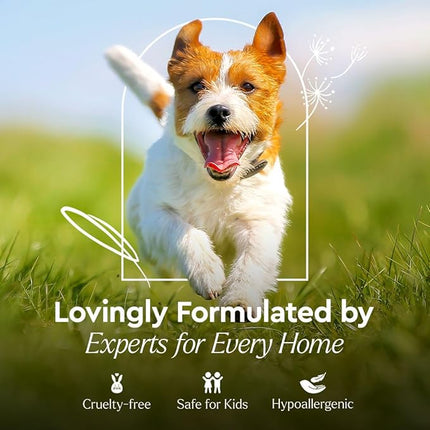 Puracy Pet Stain and Odor Remover - Enzyme Cleaner for Dog Urine and Poop Carpet - Cat Pee Enzyme Cleaner for Cat Urine - Cucumber & Mint, 48oz