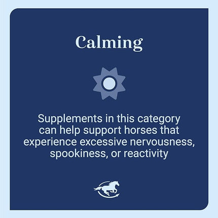 SmartEquine Smart & Simple Magnesium Horse Supplement | Supports Metabolism and Muscle Function | 154 Servings | 3 lb