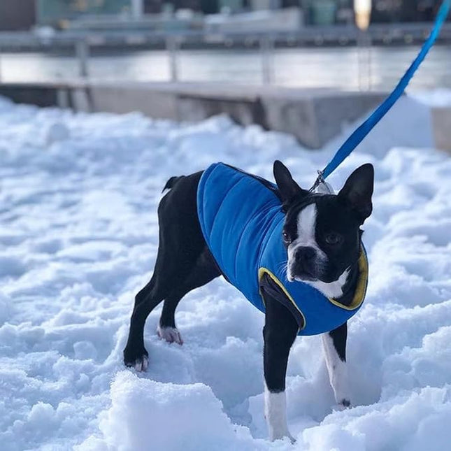 Gooby Padded Vest Dog Jacket - Solid Blue, Medium - Warm Zip Up Vest Fleece Jacket with Dual D Ring Leash Water Resistant for Small to Medium Dogs