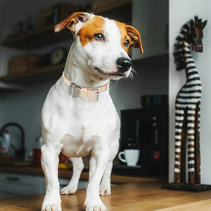 EXPAWLORER Dog Collar and Leash Set - Classic Plaid Dog Bow Tie and Dog Bandana Collar with Bell, Dog Leash Tangle Free, Adjustable Collars for Small Medium Large Dogs Cats, Holiday Ideal Gift, XS