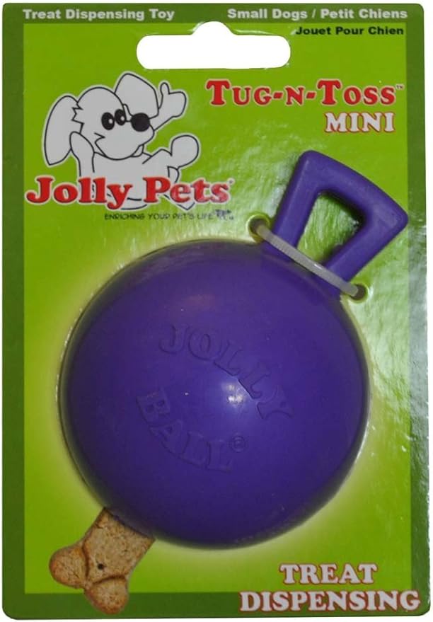 Jolly Pets Tug-n-Toss Heavy Duty Dog Toy Ball with Handle, 4 Inches/Petite, Purple (404 PR)