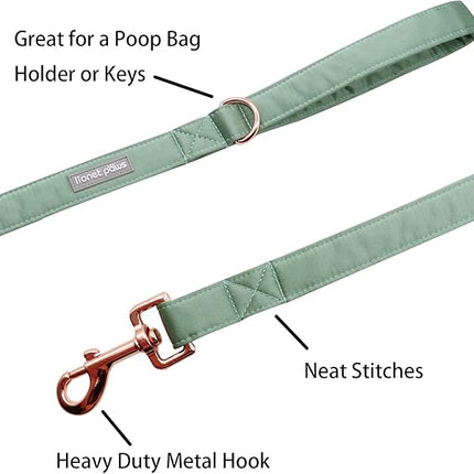 Lionet Paws Dog Leash - Silk Green Leash for Small Medium Large Dogs Matching Collar for Girl and Boy