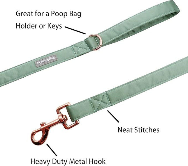 Lionet Paws Dog Leash - Silk Green Leash for Small Medium Large Dogs Matching Collar for Girl and Boy