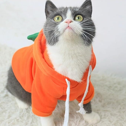 Happy Dog Hoodies - Funny Clothes for Small Dogs & Cats, Hooded Puppy Sweatshirt Coat, Winter & Halloween Outfit, Carrot Costume for Kitten, Chihuahua, Pomeranian, Yorkie (Orange, X-Large)