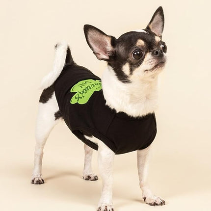 Fitwarm Happy St Patricks Day Dog Clothes, Summer Dog Clothes for Small Dogs Boy Girl, Funny Dog Tshirt, Lightweight Breathable Cotton, Pet Cat Outfit, Black, Green, XXL