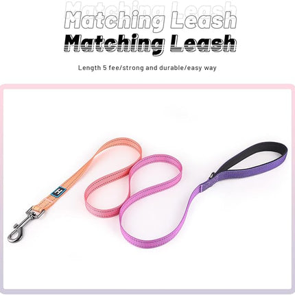 Roses&Poetry Puppy Dog Collar and Leash Set, Reflective Dog Leash for Small Dogs, Cute Matching Collars and Leashes Padded Adjustable Durable for Girl or Boy Dogs（Mistyrose-XS