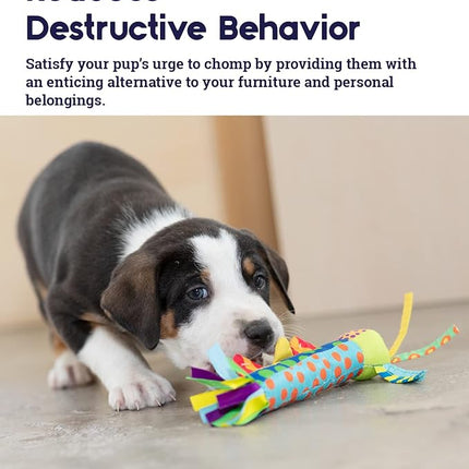 Petstages Cool Teething Stick for Dogs - Soothing Chew Toy for Teething Puppies - Freezable for Added Relief - Durable & Safe Dental Aid, Multicolor, One-Size