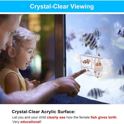 Fish Breeding Box Aquarium Holding Tank Transparent Fish Isolation Box Acclimation Hatchery Incubator Breeder for Betta Shrimp Clownfish Guppy Small