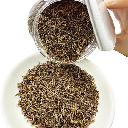 Premium Freeze-Dried Krill & Shrimp Mix - Ideal for Arowana, Koi, Tropical Cichlids, and Turtles - High-Protein Floating Aquarium Food (Dried Bloodworms-500ml)