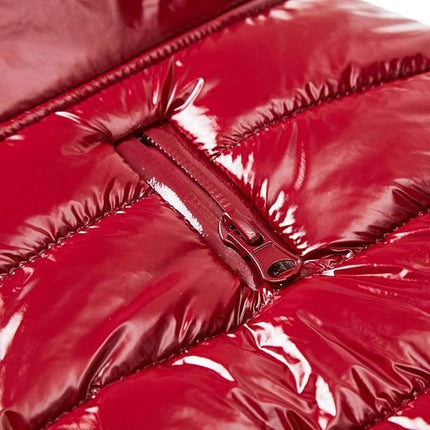 Blueberry Pet Cozy & Comfy Windproof Lightweight Quilted Fall Winter Glossy Dog Puffer Jacket in Deep Rouge, Back Length 18.5", Size 18, Warm Coat for Large Dogs