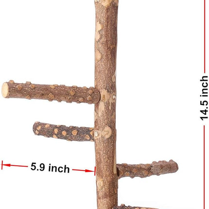Bird Perch Nature Wood Stand for 3-4pcs Small Medium Parrots (M)