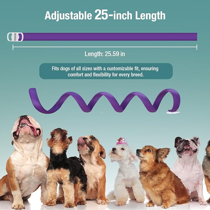 ZingZap Flea & Tick Collar 2-Pack Purple, Protects from Biting Insects, Adjustable Fits Both Dogs & Cats, Built-in Plant Based Formula, Slow Release Lasting Protection, Waterproof