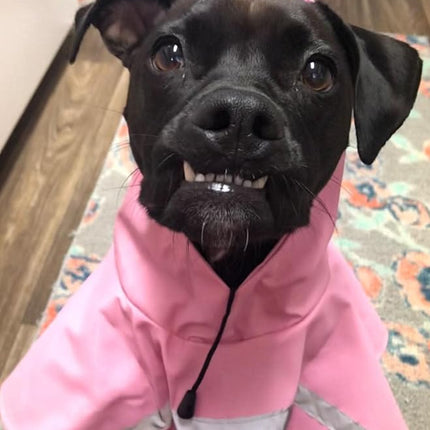 HAPEE Dog Raincoats with Reflective Strip Hoodie,Poncho Jacket for Large Dogs fit Golden Retriever Doodle (D4-Pink, 22B (55-65 lbs))