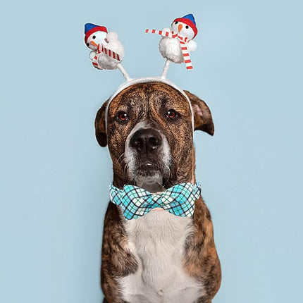 Elegant Little Tail Blue Plaid Dog Collar with Bow - Soft Adjustable for Small to Large Dogs