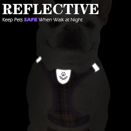 EXPAWLORER Classic Plaid Puppy Harness - Small Dog Harness and Leash Set - Dog Collar and Leash Set with AirTag Holder, Soft Padded Step in Dog Vest Harness No Pull Reflective for Outdoor, Purple XXS