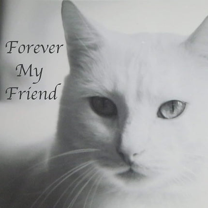 Pet Cremation Urns for Cats Ashes, Up to 60 lbs Cat Memorial Keepsake Urns for Ashes-Medium (Gray)