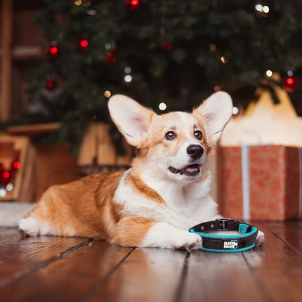 Black Rhino Dog Collars for Medium Dogs - Adjustable Reflective Heavy Duty Dog Collar with Ultra-Soft Neoprene Padding - Weatherproof, Durable, and Comfortable - Ideal for Active Dogs - Blue and Gray