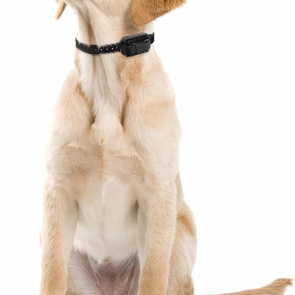 Educator E-Collar Humane Dog Training Collar with Remote, 100 Safe Tapping Stimulation Levels, Night Light, Waterproof, Rechargeable, 1 Mile 2 Large Dogs, Orange