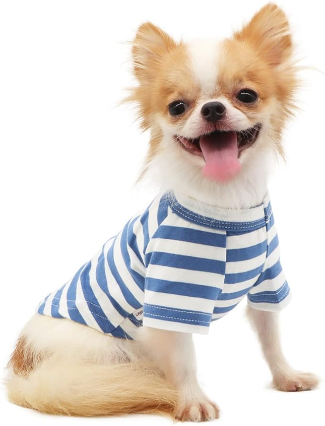 LOPHIPETS 100% Breathable Cotton Striped Dog Tee Shirt T-Shirt for Small Dogs Chihuahua Puppy Clothes -Blue and White Strips/XL