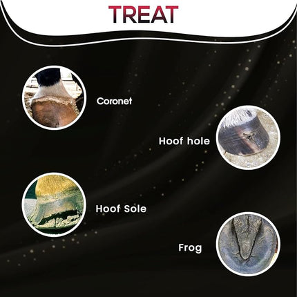 SBS Equine Spray | Hoof Treatment Provides Antiseptic Barrier Against Infection | Fights Hoof iIlness | Long-Lasting (16 Fluid Oz Spray)