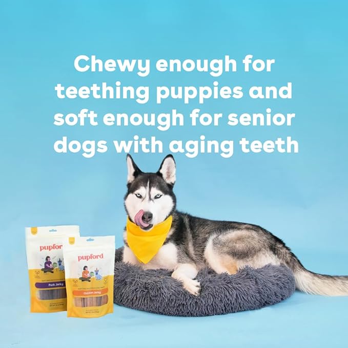 Pupford Chicken Jerky for Dogs & Puppies, All-Natural, Healthy Dog Treats, No Fillers, Made in USA (16 oz)