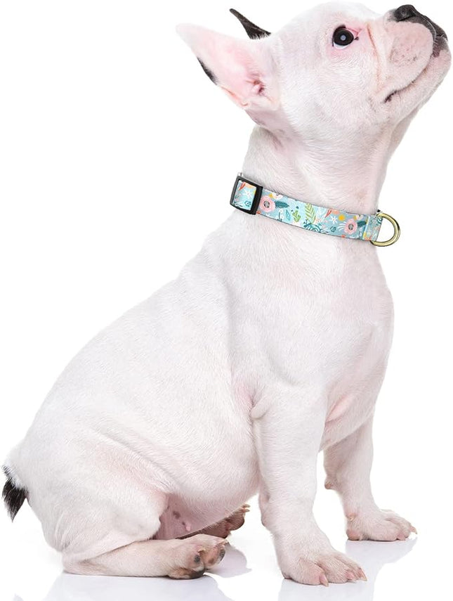 Rnivvi Dog Collar for Small Dogs, Cute Floral Heavy Duty Adjustable Puppy Collar with Quick Release Buckle for Boy Girl & Female, Pet Accessories for Walking Running, XS Length 5/8" Width, Blue