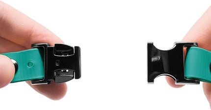 Educator Quick Snap Bungee Dog Collar, Biothane, Waterproof, Odorproof, Easy Connect and Disconnect Clasp and D Ring with Comfort Bungee Loop, Adjustable for Custom Fit, 3/4-Inch, Teal