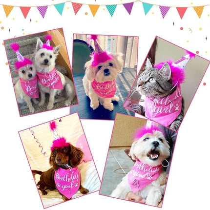 BINGPET Dog Birthday Bandana Scarf and Reusable Hat with 0-8 Figures,Cute Puppy Dog Birthday Outfit Party Supplies Gift for Small Medium Large Dogs Girl