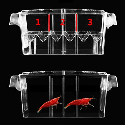 Large Multi-Chamber Holding & Breeding Box for Aquariums - Fish Hatchery with 3 Compartments, Floating Design, Clear Acrylic, Easy to Install - Ideal for Newborn Fry, Sick Fish, and Acclimation