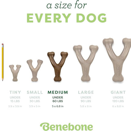 Benebone Medium 3-Pack, Wishbone Durable Dog Chew Toy for Aggressive Chewers, Real Bacon, Chicken, Peanut Butter, Made in USA, Variety Pack