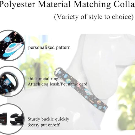 Roses&Poetry Dog Collar and Leash for Medium Large,Adjustable Durable Blue 5ft Puppy Leash Collar for Dog Training Lead（Star-L）