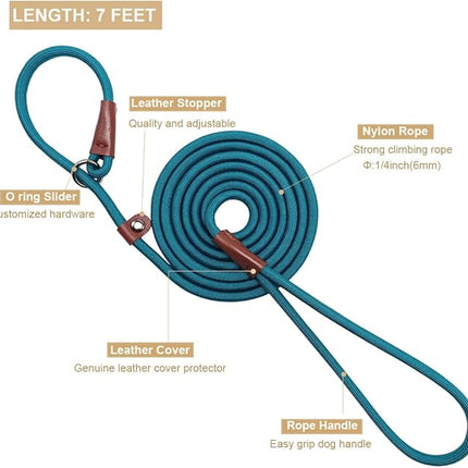 BTINESFUL 7FT Slip Lead Dog Leash, Strong Nylon Rope Leash, 1/4 inch Diam Dog Training Lead for Small Medium Large Dogs, Misty Blue