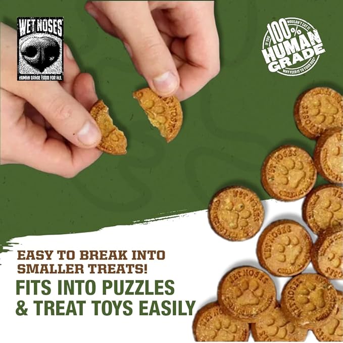 Grain-Free Organic Crunchy Dog Treats – for All Pet Sizes, Breeds – All-Natural Treat – 100% Human-Grade – Delicious Snacks for Dogs – 14 Oz, Grain Free - Peanut Butter Banana, 2 X 14oz Box