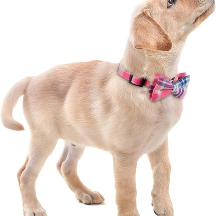 Faleela Soft &Comfy Bowtie Dog Collar,Detachable and Adjustable Bow Tie Collar,for Small Medium Large Pet (Small (Pack of 1), Pink)
