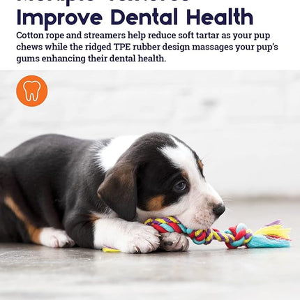 Petstages Orka Mini Dental Dog Chew Toys - 3 Pack