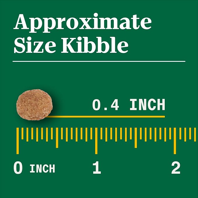 Nutro Natural Choice Adult Dry Dog Food, Chicken and Brown Rice Recipe, 5 lbs.