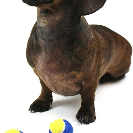 Midlee X-Small Dog Tennis Balls 1.5" Pack of 12 (Blue/Yellow, 1.5 inch)