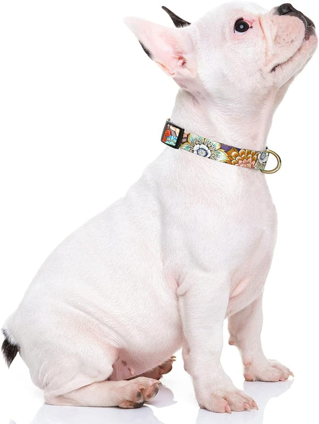 Rnivvi Dog Collar for Small Dogs, Cute Heavy Duty Adjustable Puppy Collar with Quick Release Buckle for Boy Girl & Female, Pet Accessories for Walking Running, XS Length 5/8" Width, Colorful Mandala